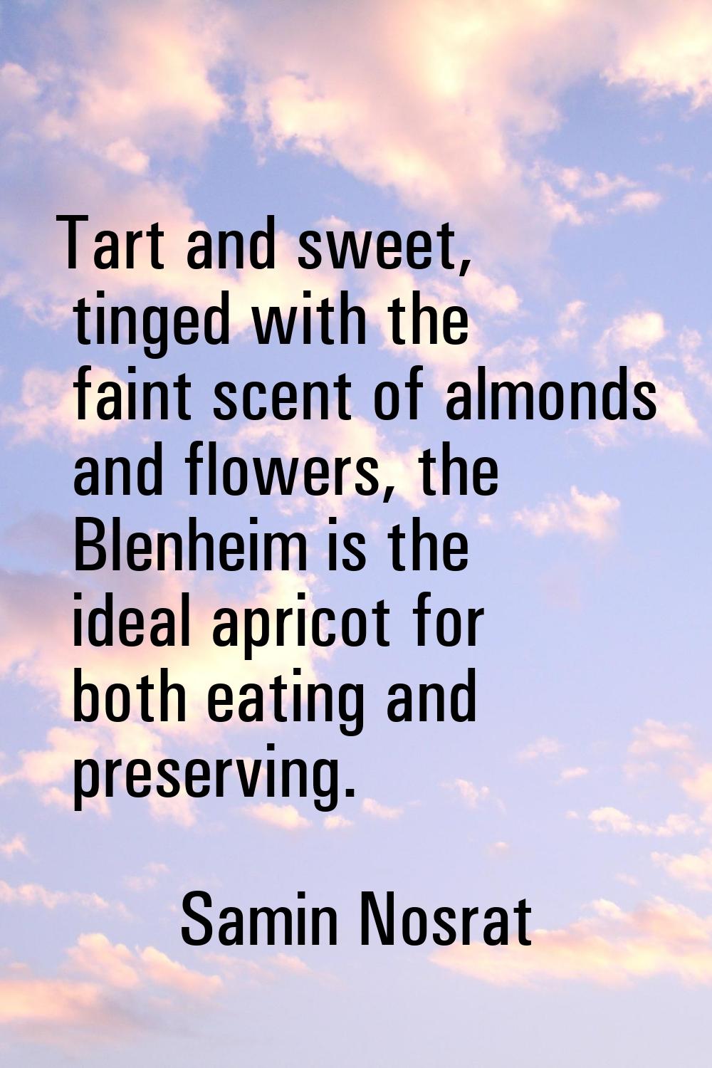 Tart and sweet, tinged with the faint scent of almonds and flowers, the Blenheim is the ideal apric
