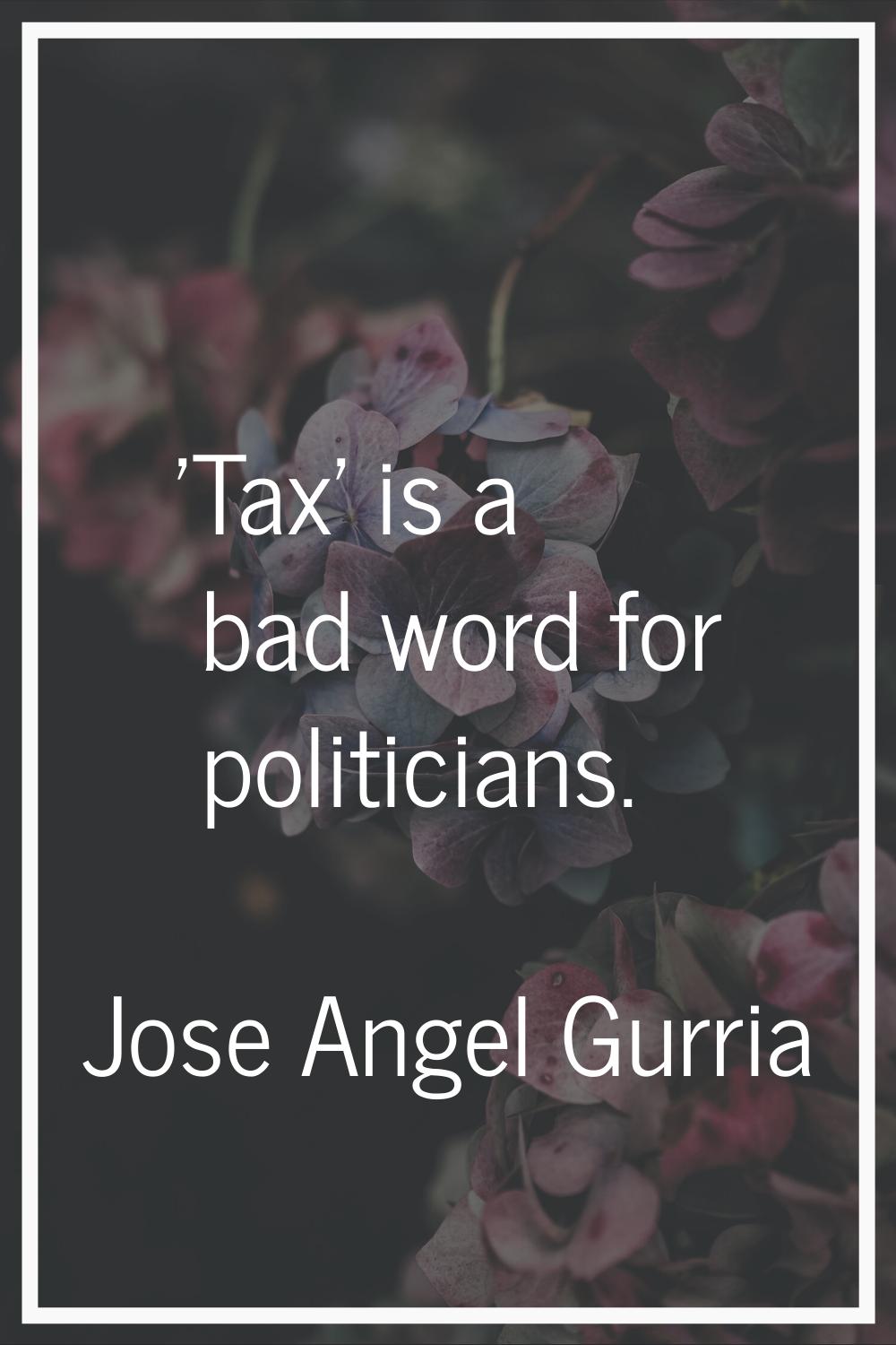 'Tax' is a bad word for politicians.