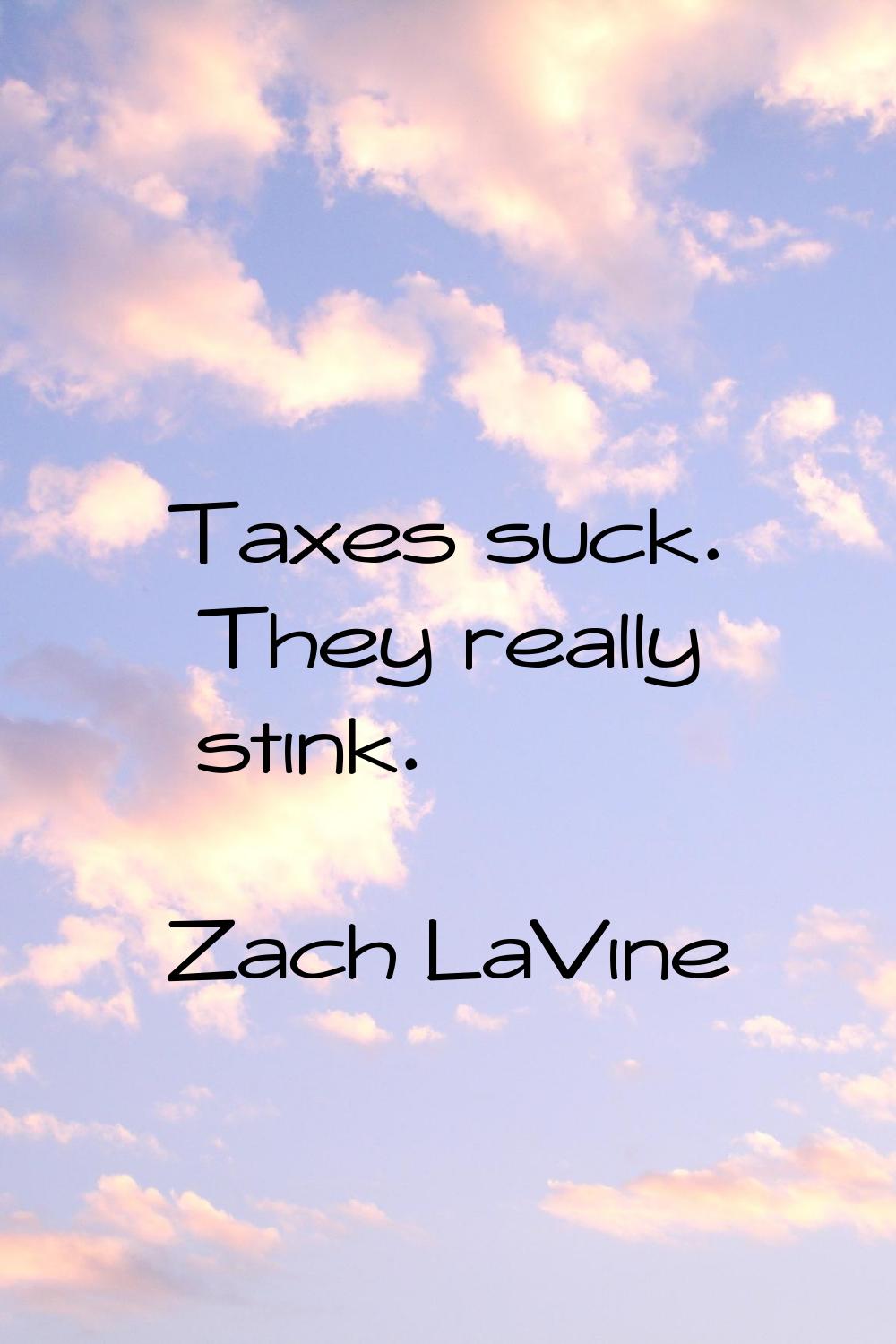 Taxes suck. They really stink.
