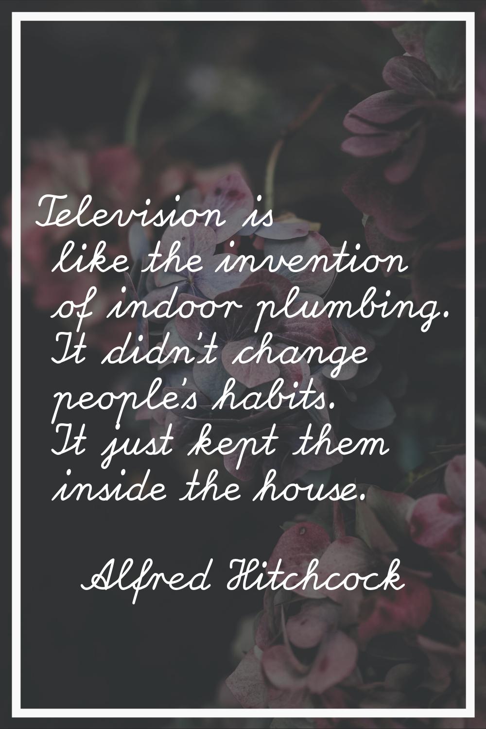 Television is like the invention of indoor plumbing. It didn't change people's habits. It just kept