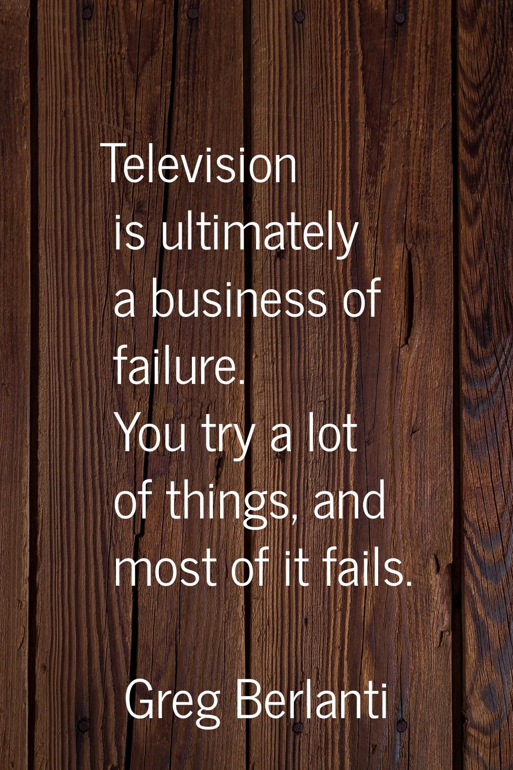Television is ultimately a business of failure. You try a lot of things, and most of it fails.