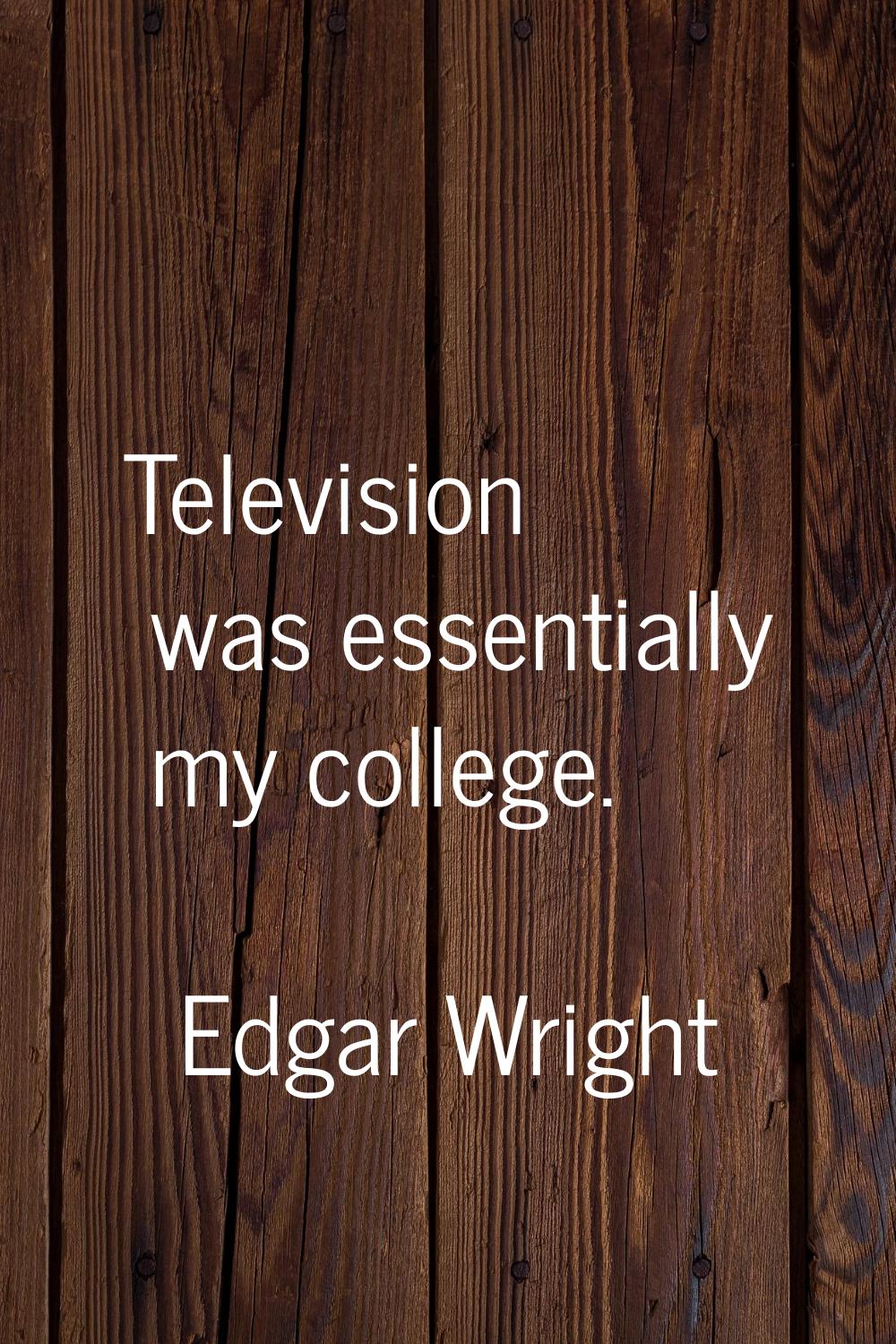 Television was essentially my college.