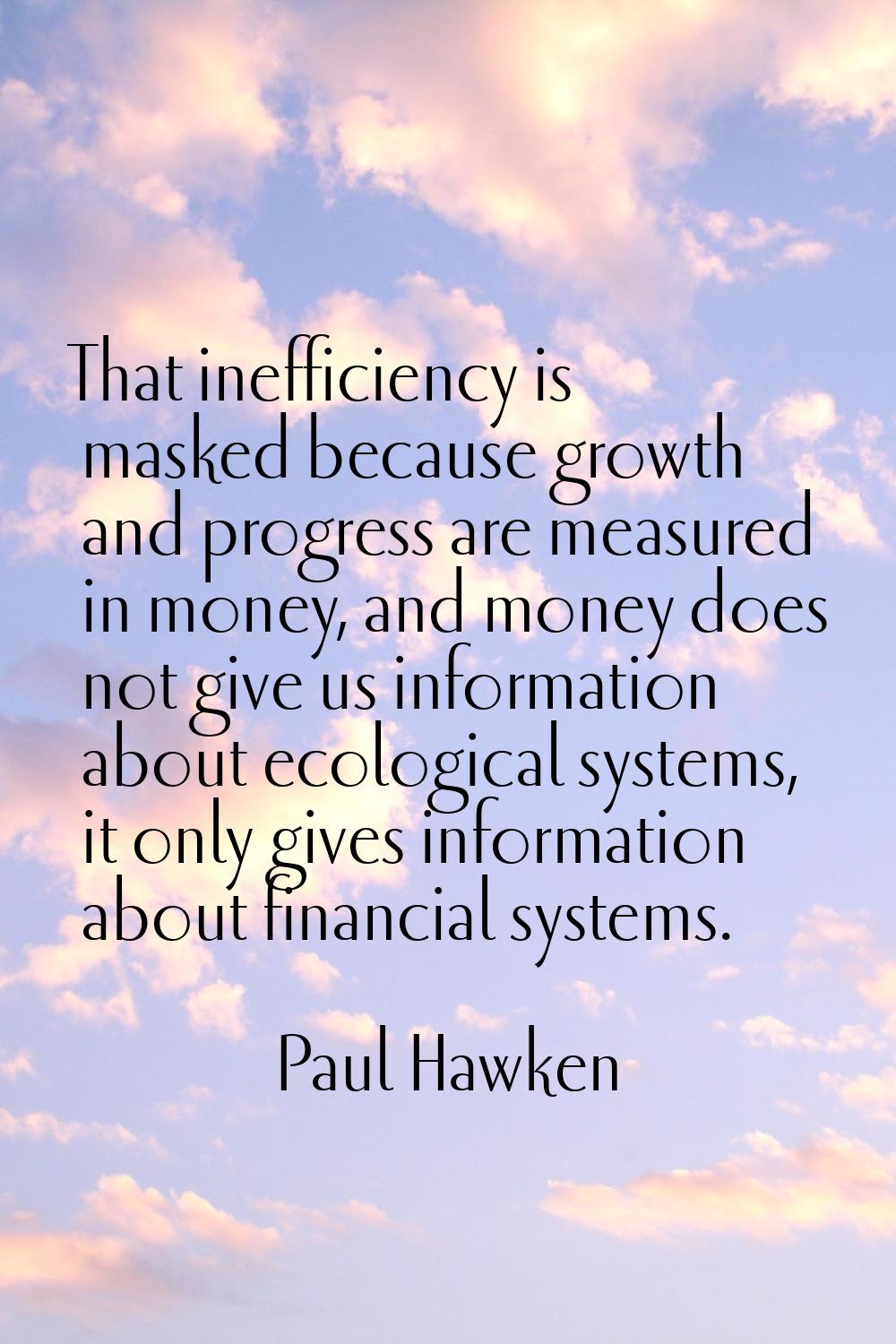 That inefficiency is masked because growth and progress are measured in money, and money does not g