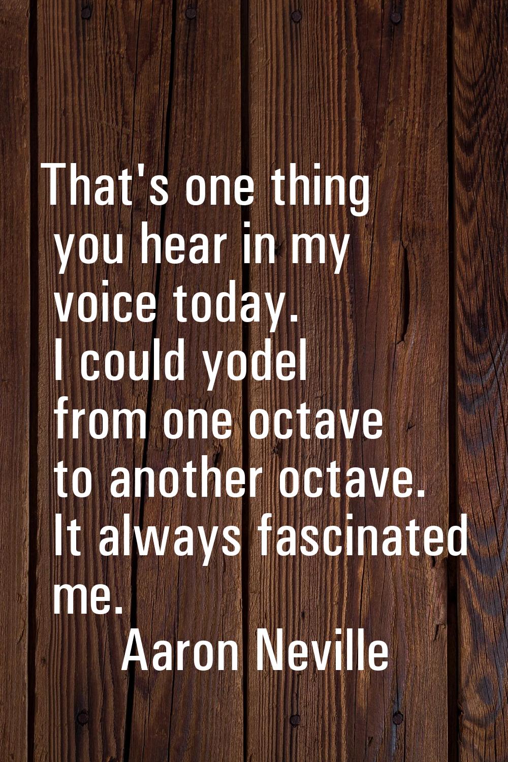 That's one thing you hear in my voice today. I could yodel from one octave to another octave. It al