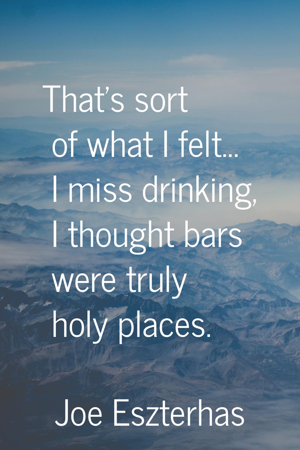 That's sort of what I felt... I miss drinking, I thought bars were truly holy places.