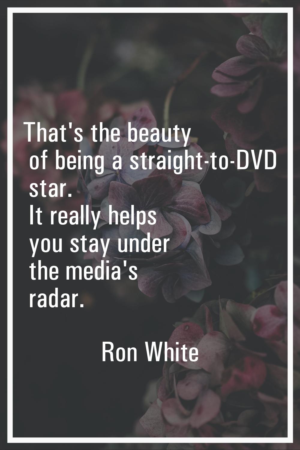 That's the beauty of being a straight-to-DVD star. It really helps you stay under the media's radar