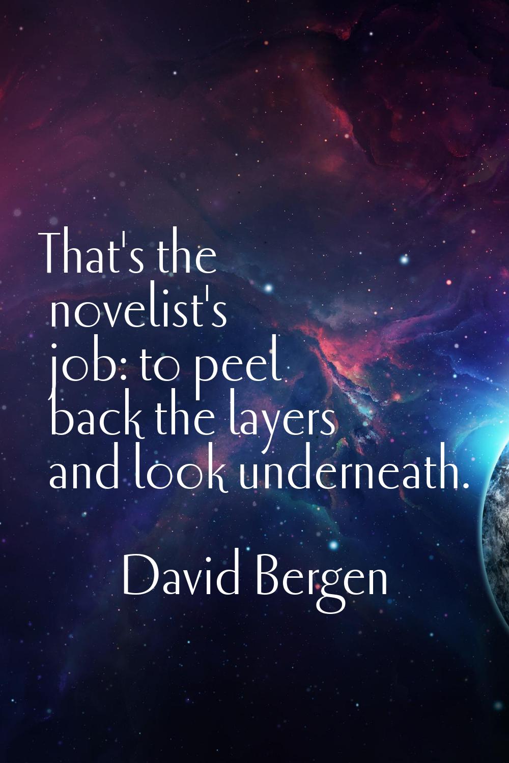 That's the novelist's job: to peel back the layers and look underneath.