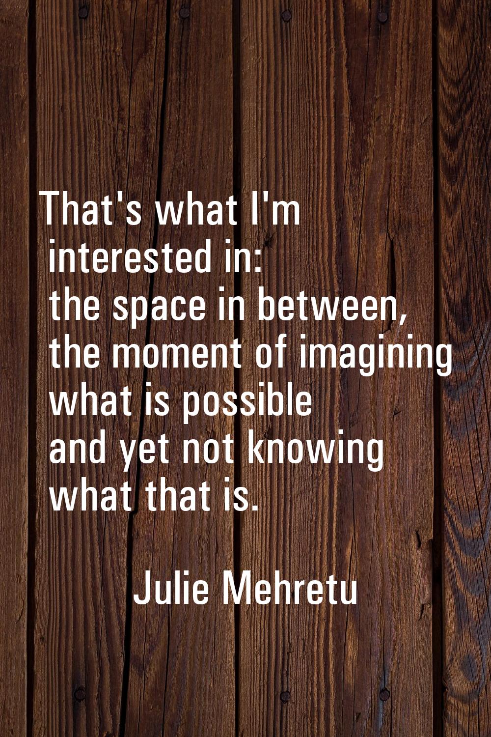 That's what I'm interested in: the space in between, the moment of imagining what is possible and y