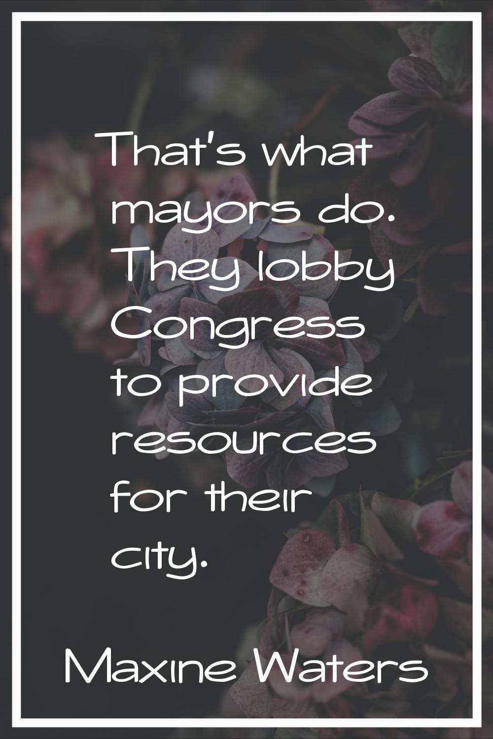 That's what mayors do. They lobby Congress to provide resources for their city.