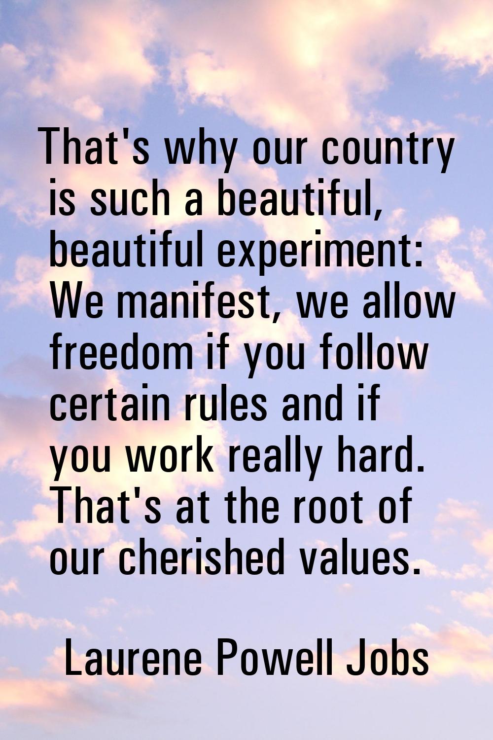 That's why our country is such a beautiful, beautiful experiment: We manifest, we allow freedom if 