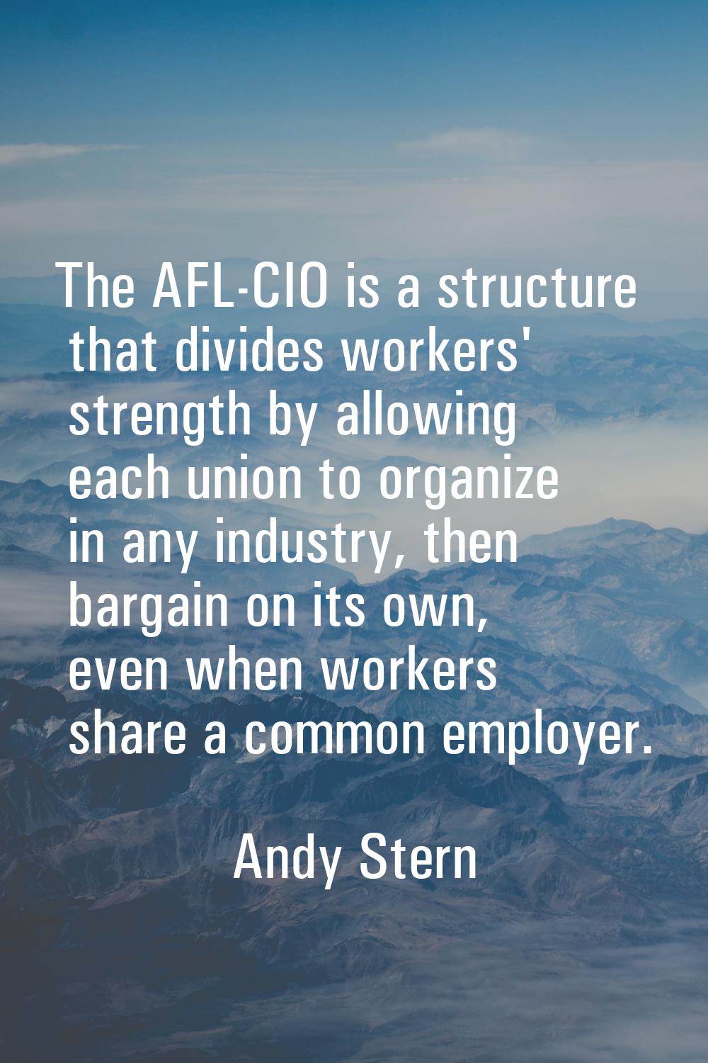 The AFL-CIO is a structure that divides workers' strength by allowing each union to organize in any