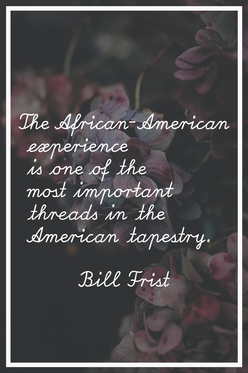 The African-American experience is one of the most important threads in the American tapestry.