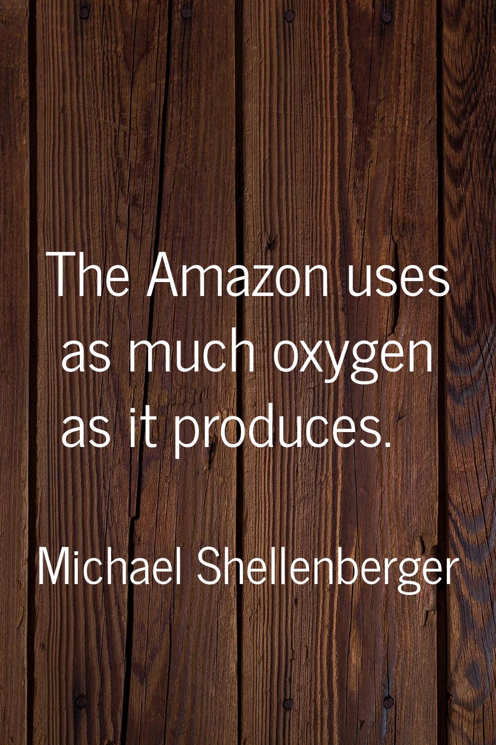 The Amazon uses as much oxygen as it produces.