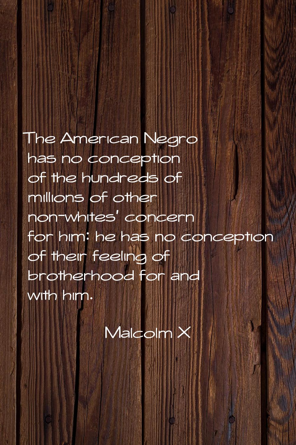 The American Negro has no conception of the hundreds of millions of other non-whites' concern for h