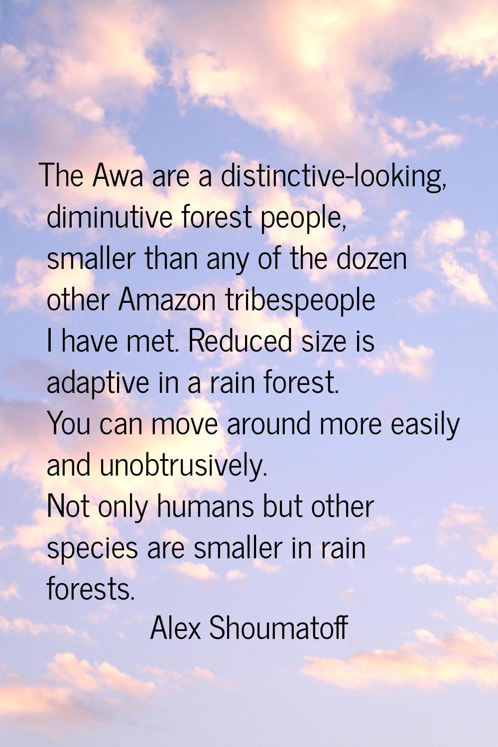 The Awa are a distinctive-looking, diminutive forest people, smaller than any of the dozen other Am