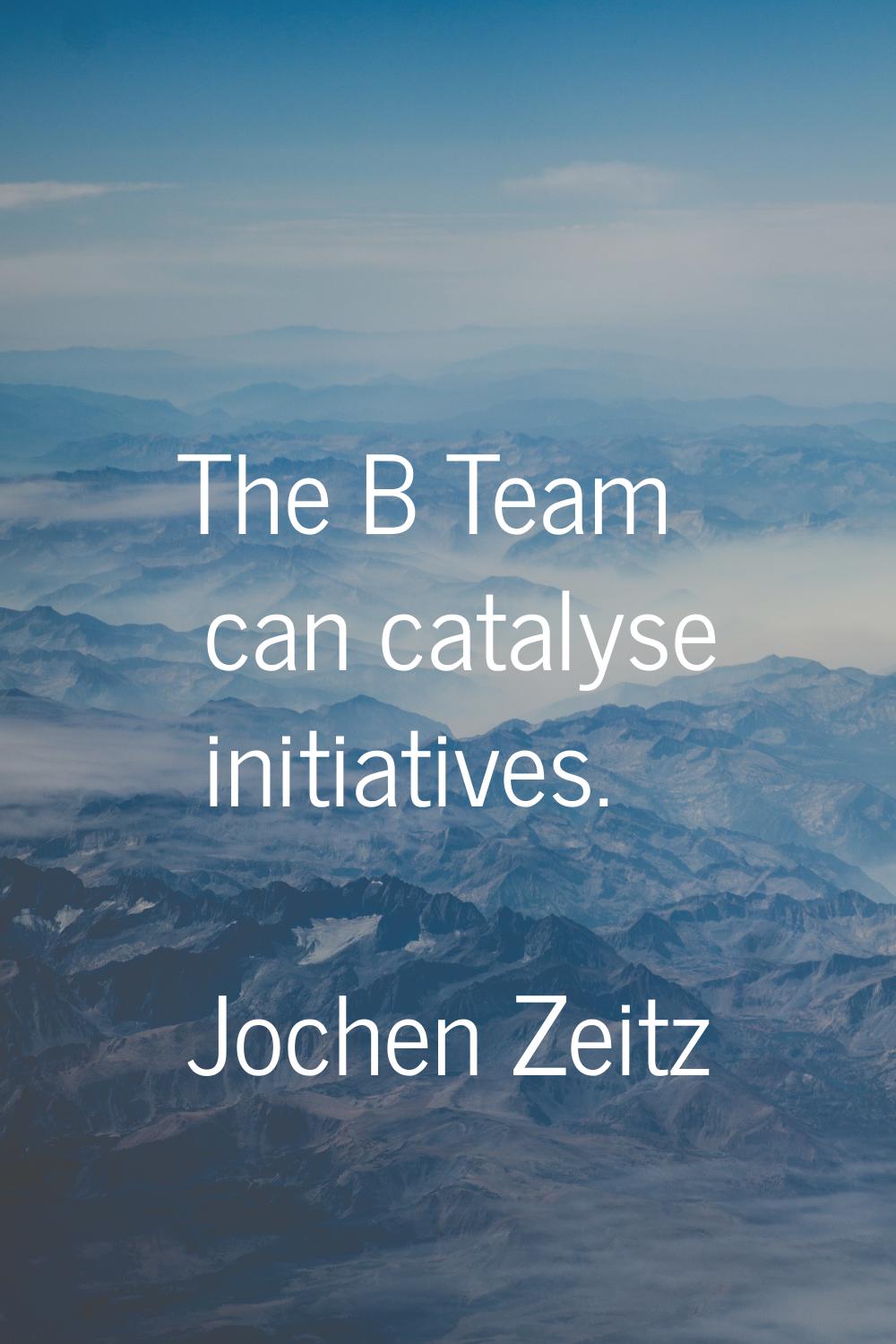 The B Team can catalyse initiatives.
