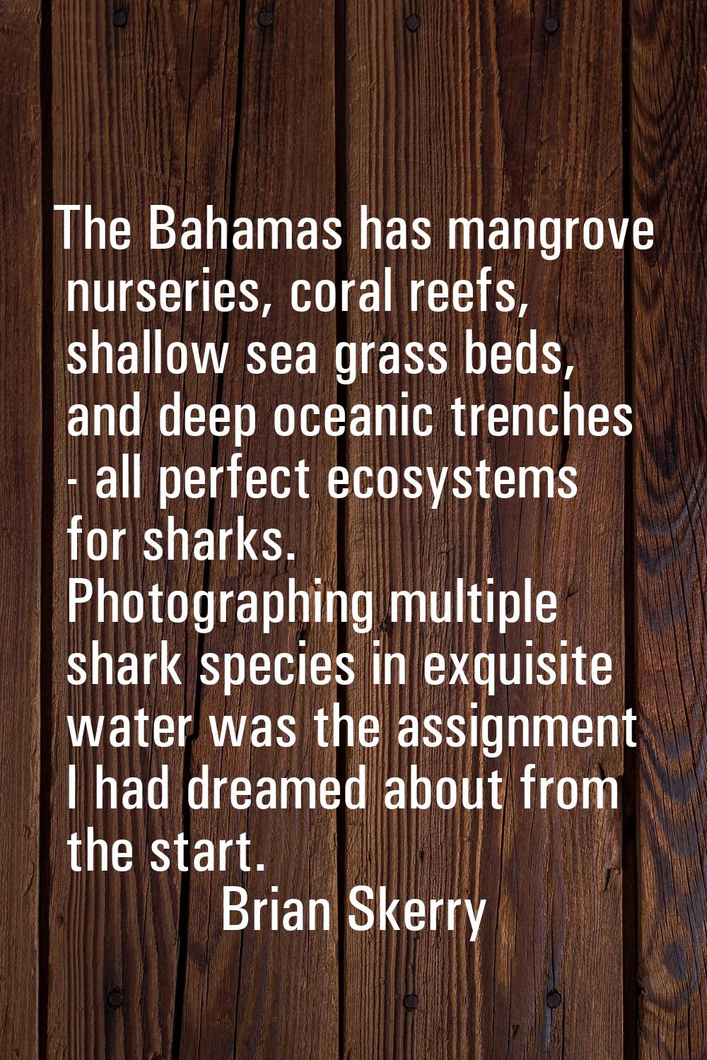 The Bahamas has mangrove nurseries, coral reefs, shallow sea grass beds, and deep oceanic trenches 