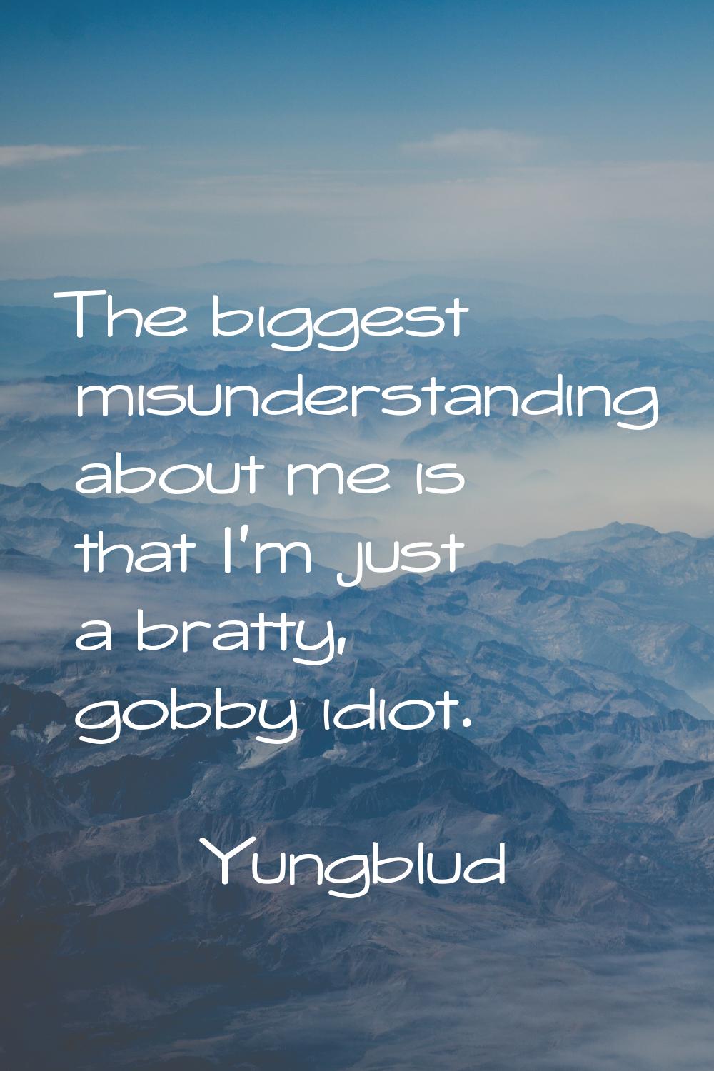 The biggest misunderstanding about me is that I'm just a bratty, gobby idiot.