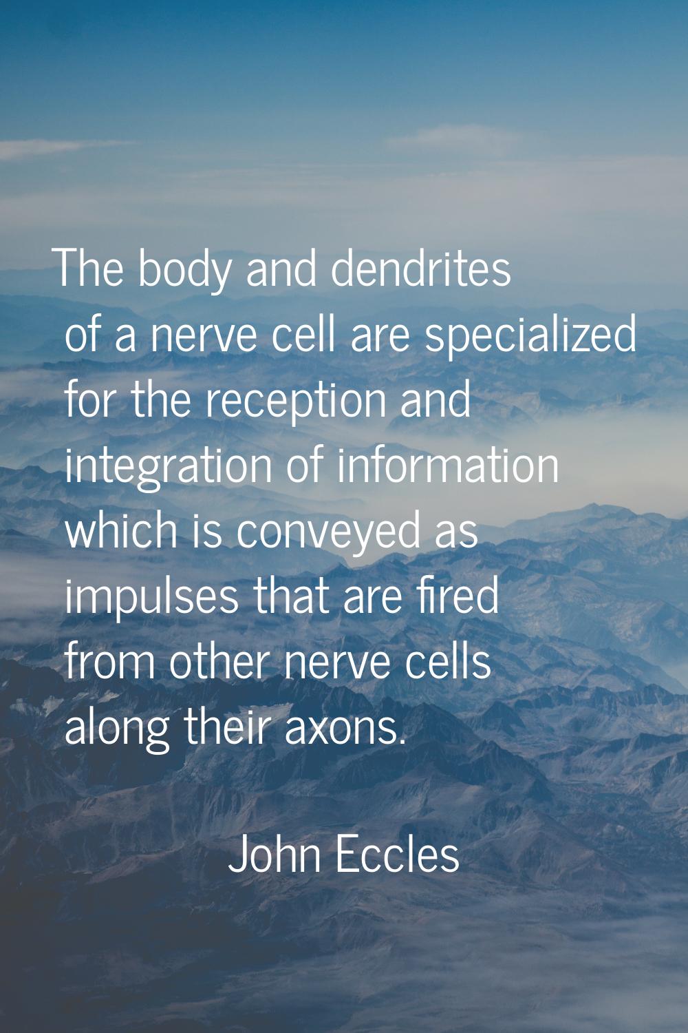 The body and dendrites of a nerve cell are specialized for the reception and integration of informa