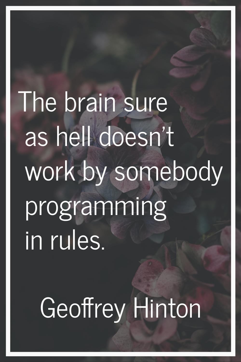 The brain sure as hell doesn't work by somebody programming in rules.
