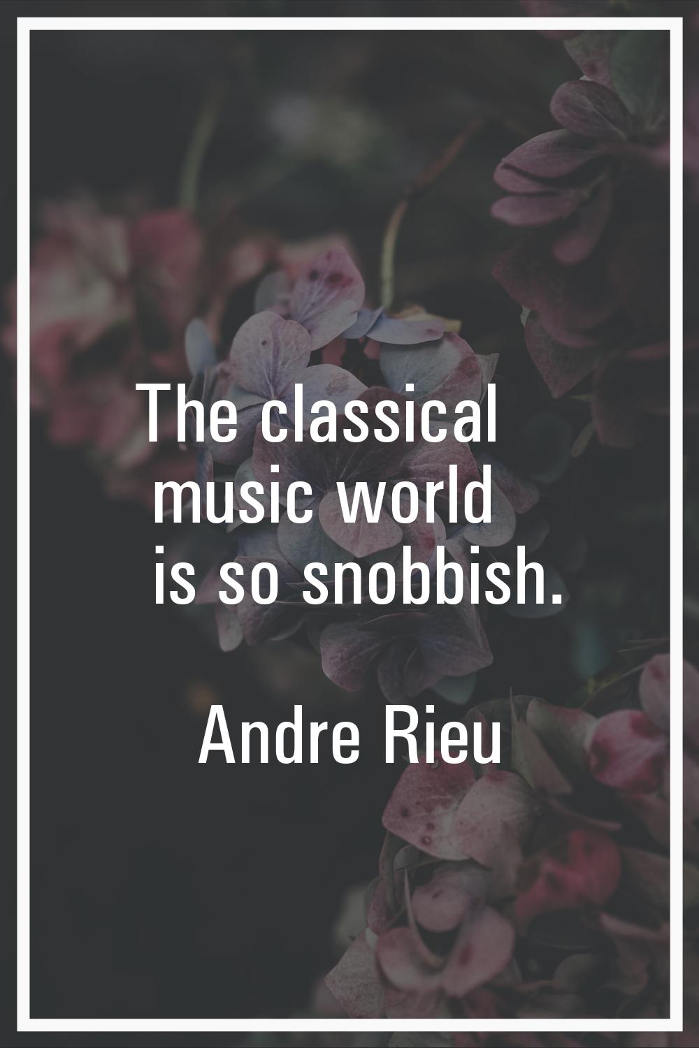 The classical music world is so snobbish.