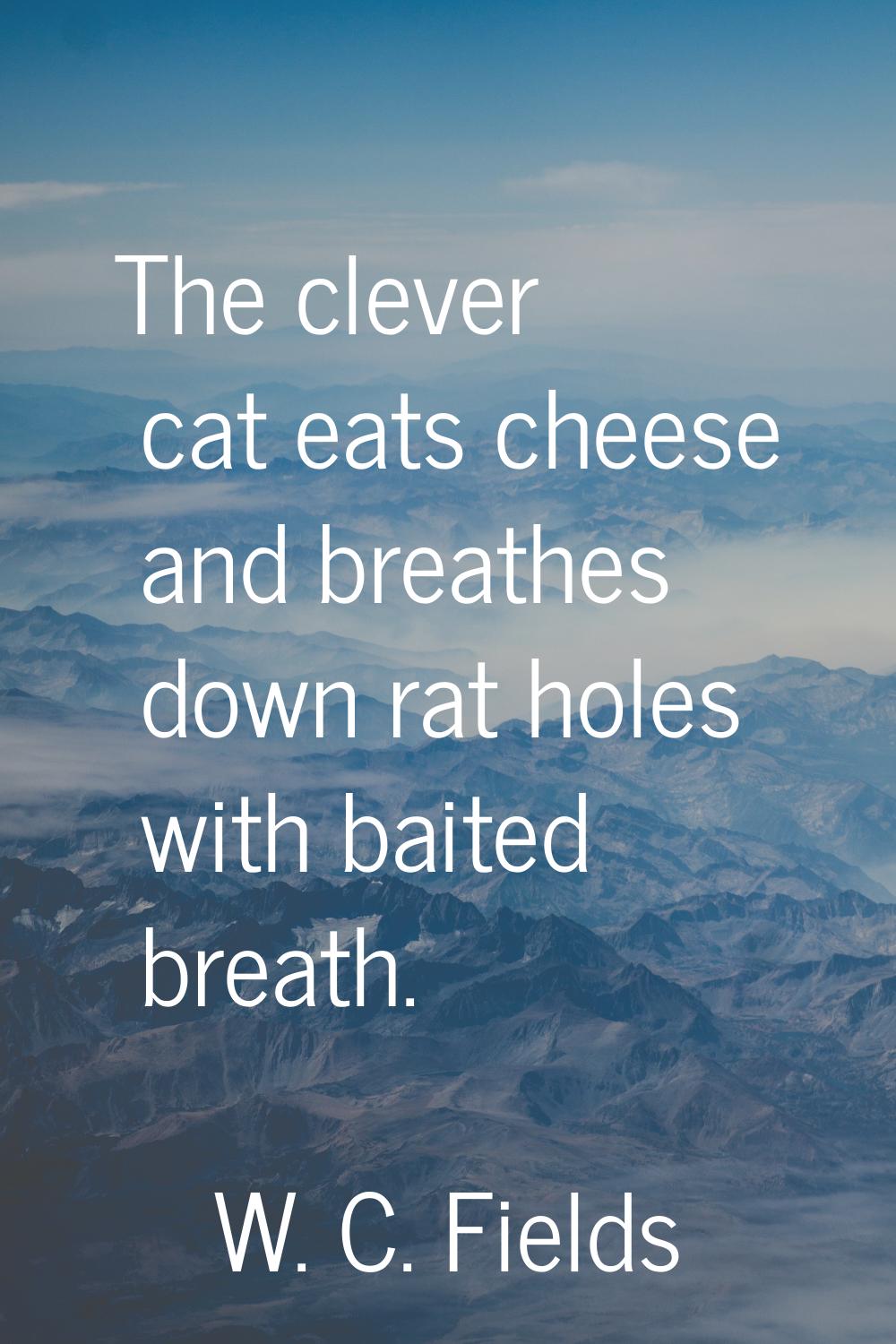 The clever cat eats cheese and breathes down rat holes with baited breath.