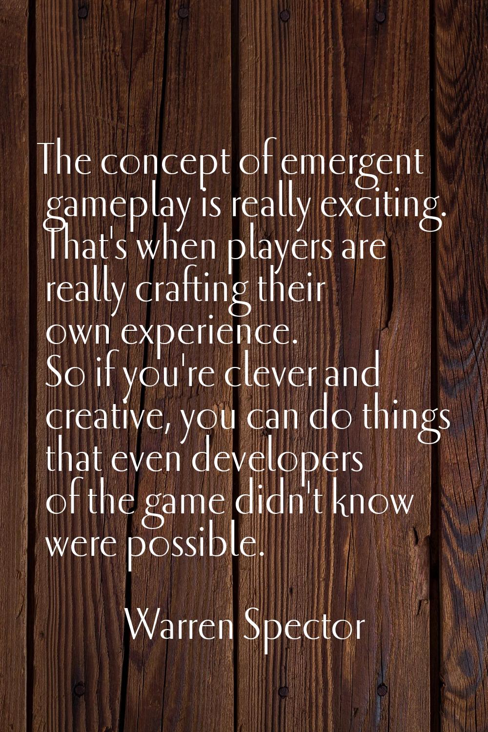 The concept of emergent gameplay is really exciting. That's when players are really crafting their 