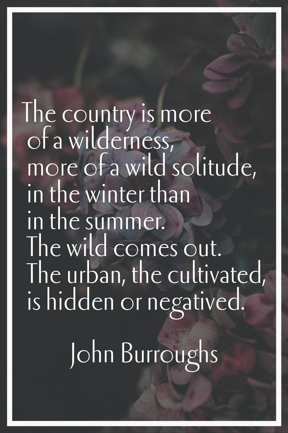 The country is more of a wilderness, more of a wild solitude, in the winter than in the summer. The