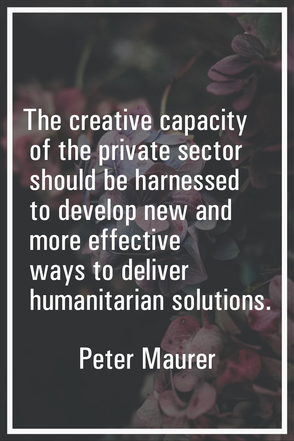 The creative capacity of the private sector should be harnessed to develop new and more effective w