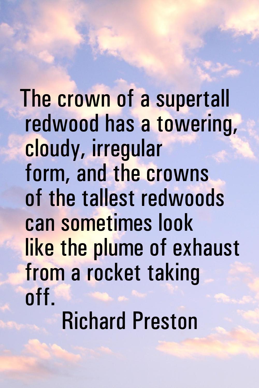 The crown of a supertall redwood has a towering, cloudy, irregular form, and the crowns of the tall