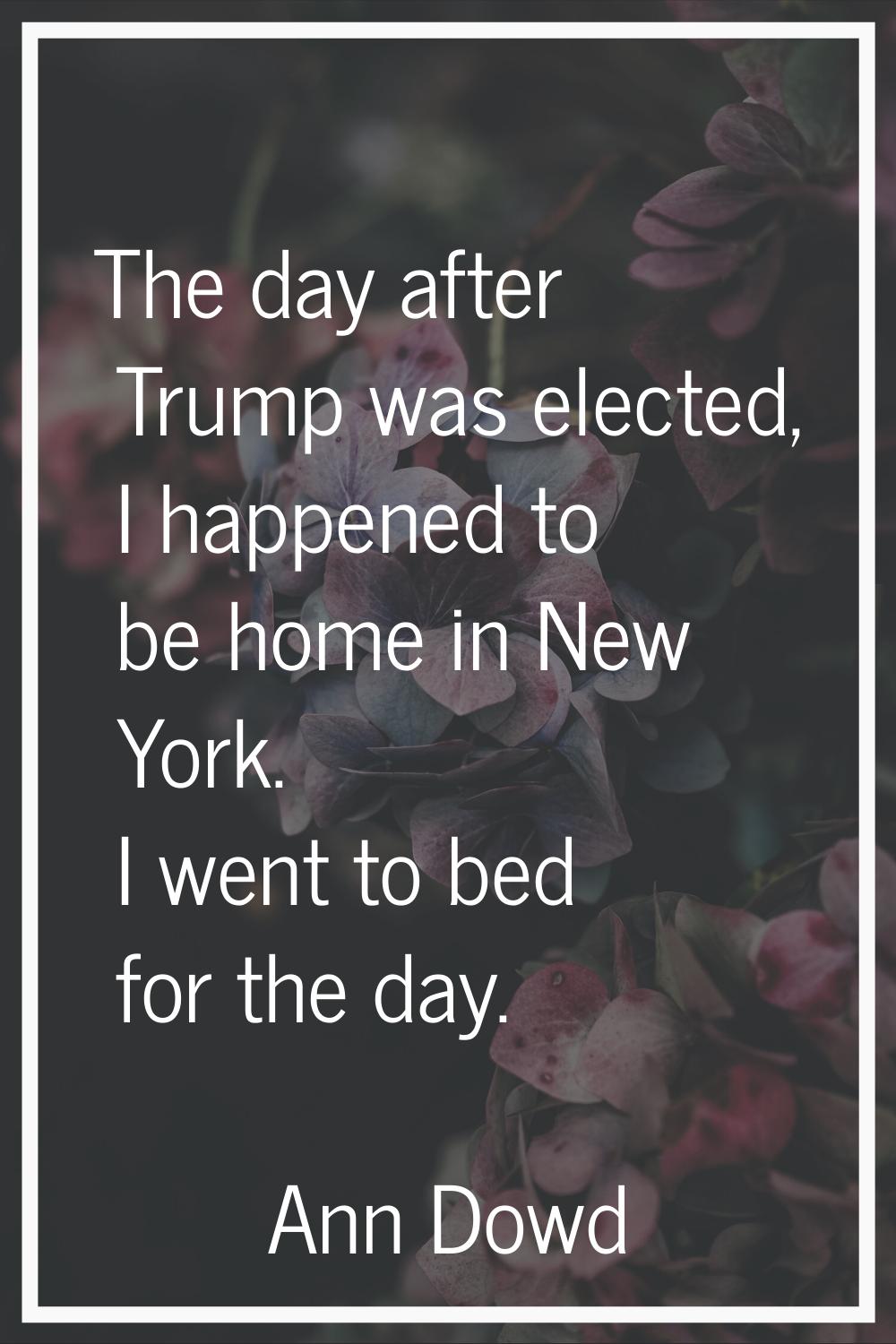 The day after Trump was elected, I happened to be home in New York. I went to bed for the day.