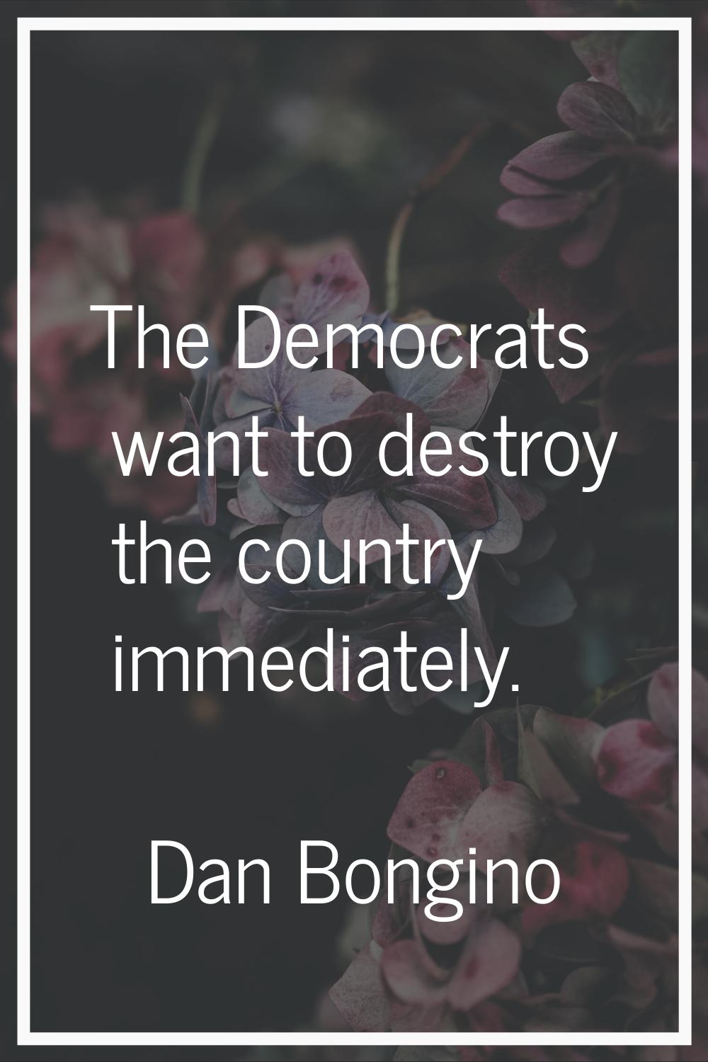 The Democrats want to destroy the country immediately.