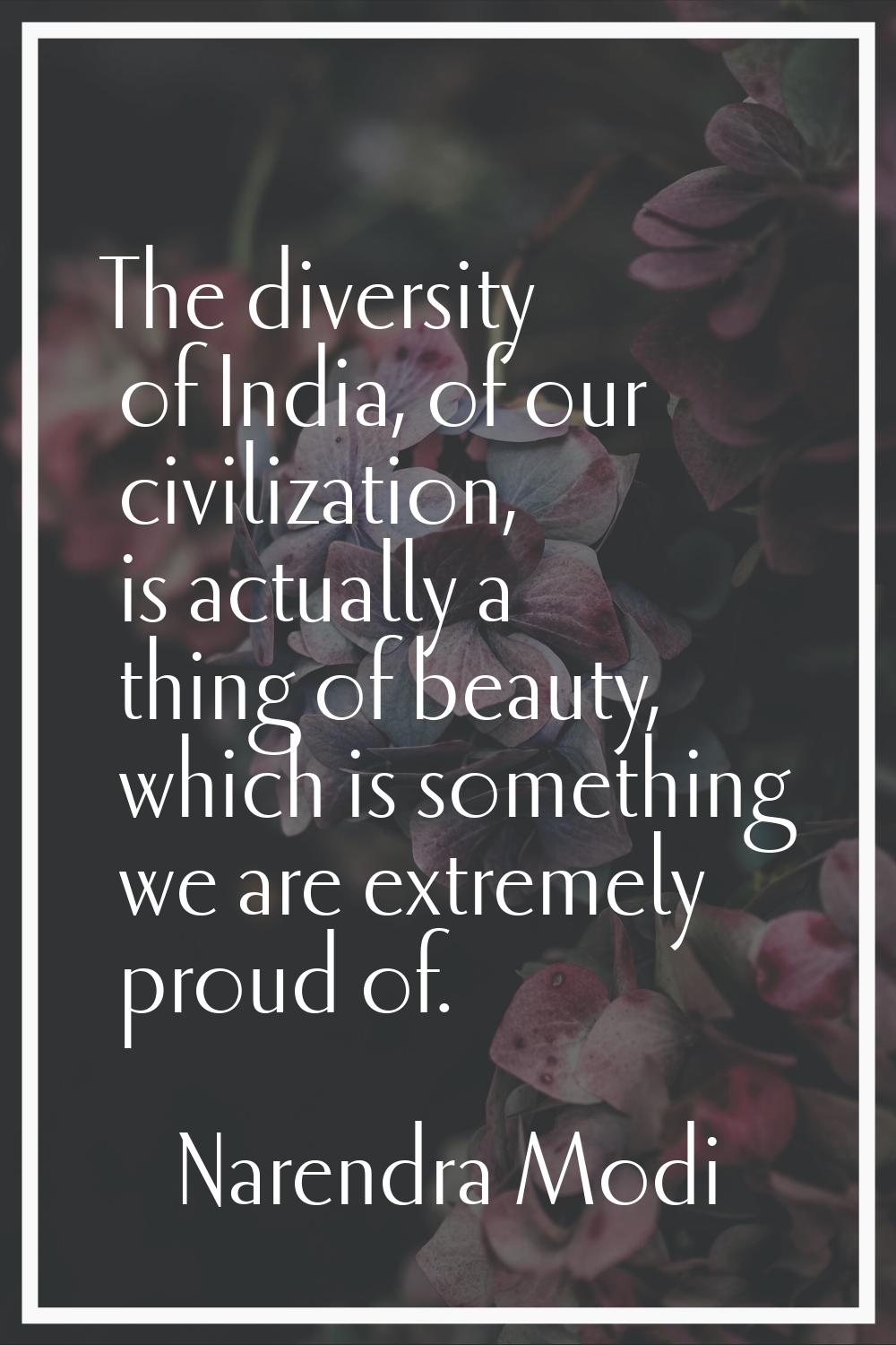 The diversity of India, of our civilization, is actually a thing of beauty, which is something we a