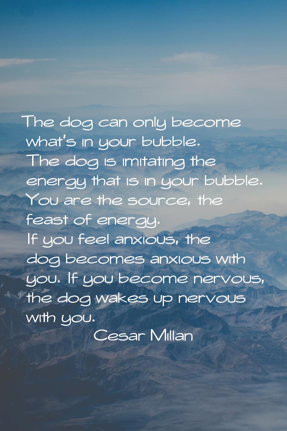 The dog can only become what's in your bubble. The dog is imitating the energy that is in your bubb