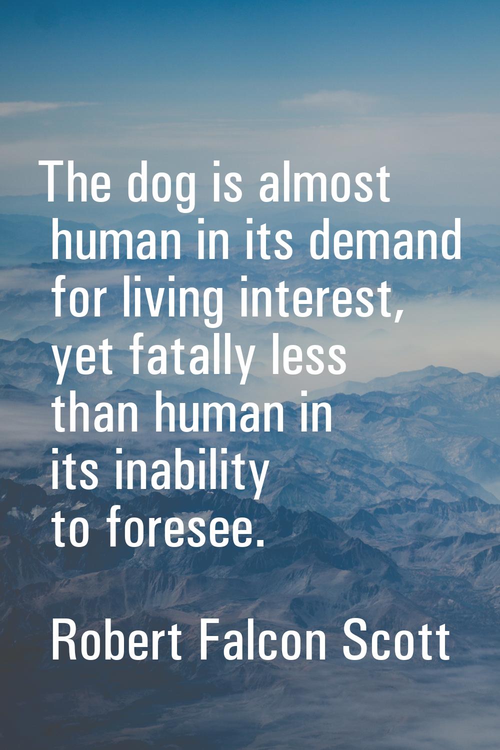 The dog is almost human in its demand for living interest, yet fatally less than human in its inabi