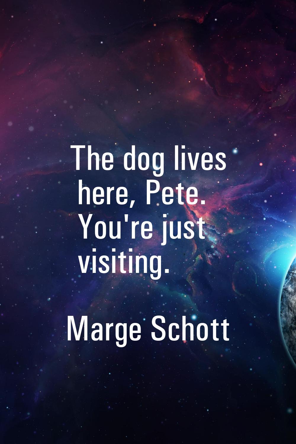 The dog lives here, Pete. You're just visiting.