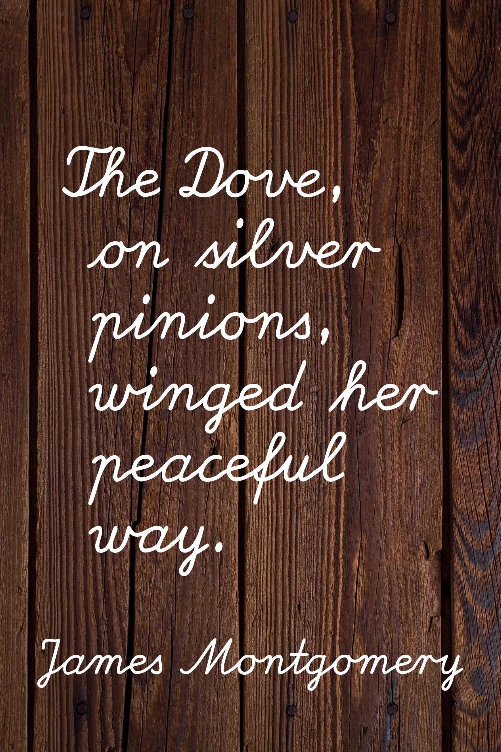The Dove, on silver pinions, winged her peaceful way.