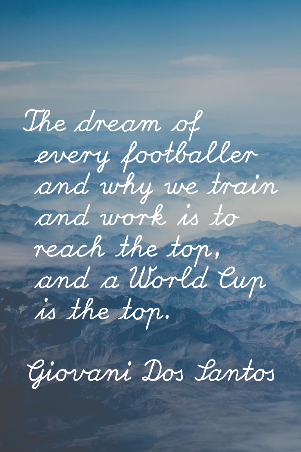 The dream of every footballer and why we train and work is to reach the top, and a World Cup is the