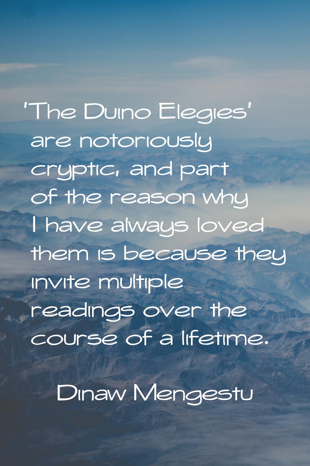 'The Duino Elegies' are notoriously cryptic, and part of the reason why I have always loved them is
