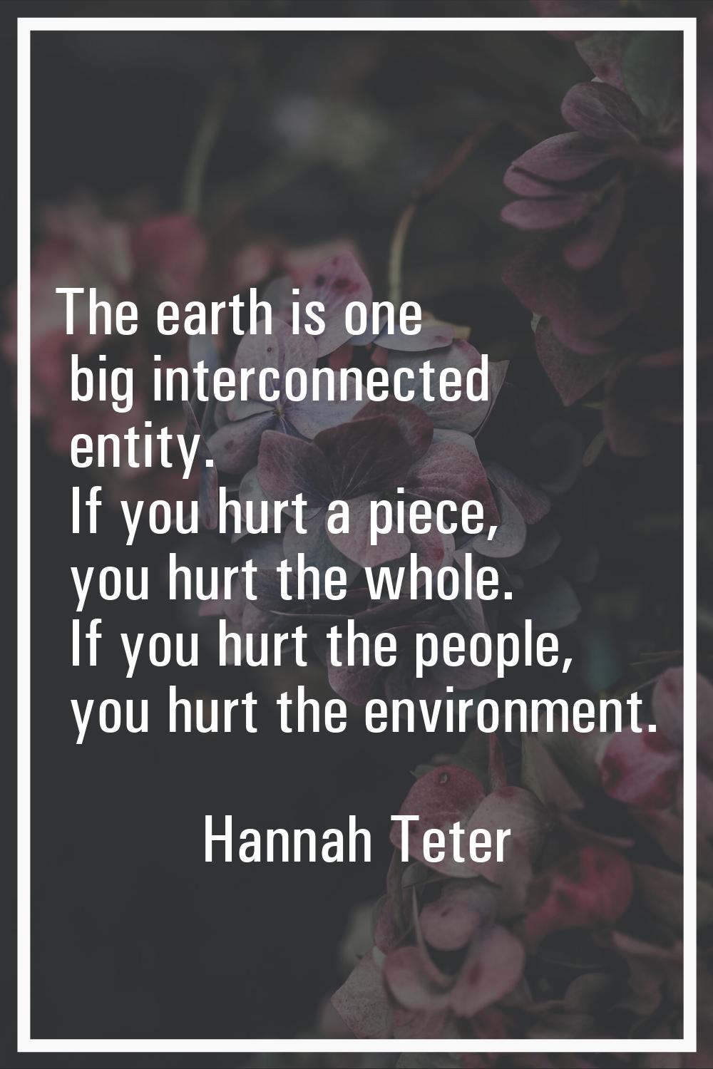 The earth is one big interconnected entity. If you hurt a piece, you hurt the whole. If you hurt th