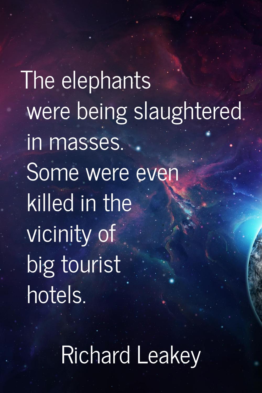 The elephants were being slaughtered in masses. Some were even killed in the vicinity of big touris
