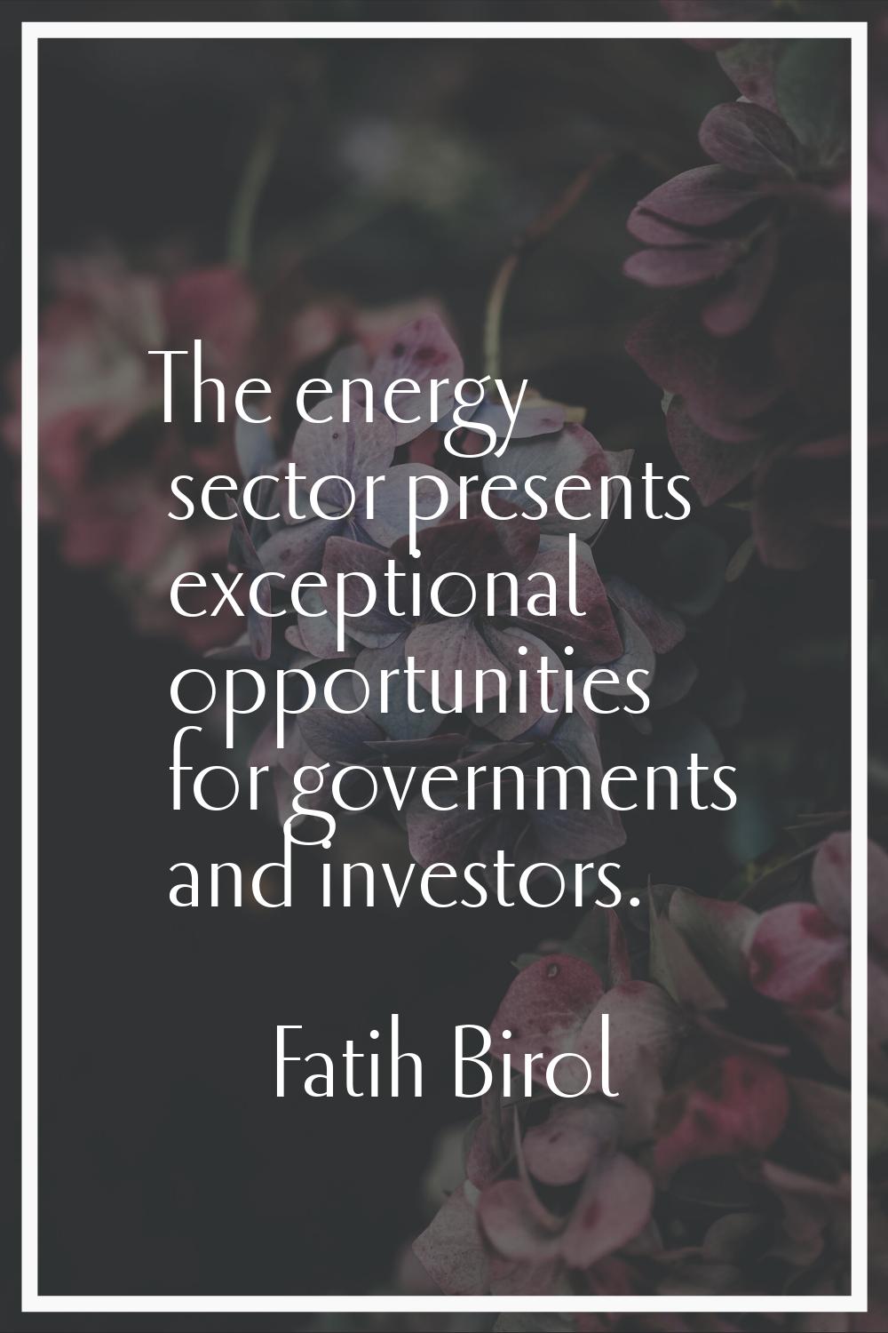 The energy sector presents exceptional opportunities for governments and investors.
