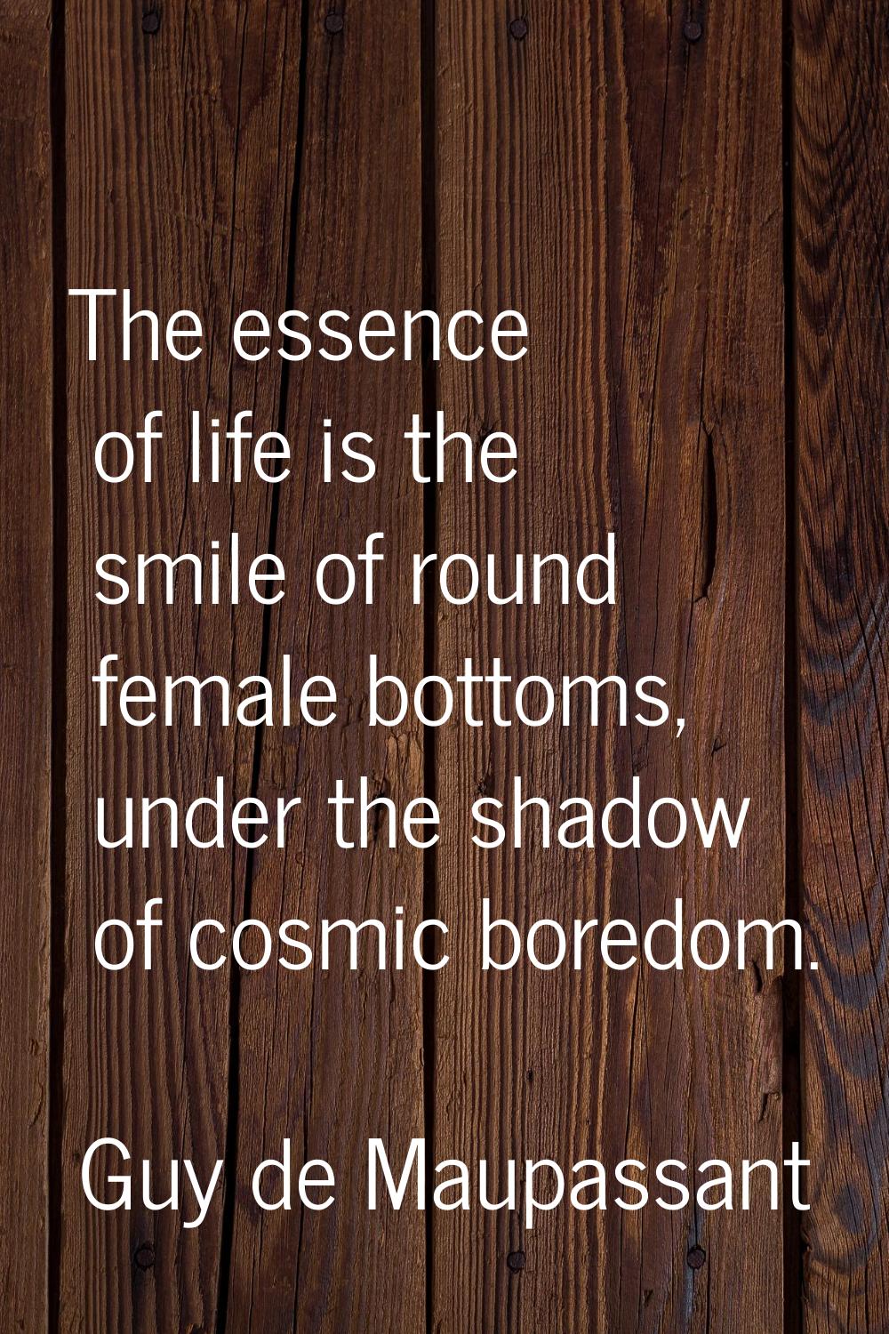 The essence of life is the smile of round female bottoms, under the shadow of cosmic boredom.