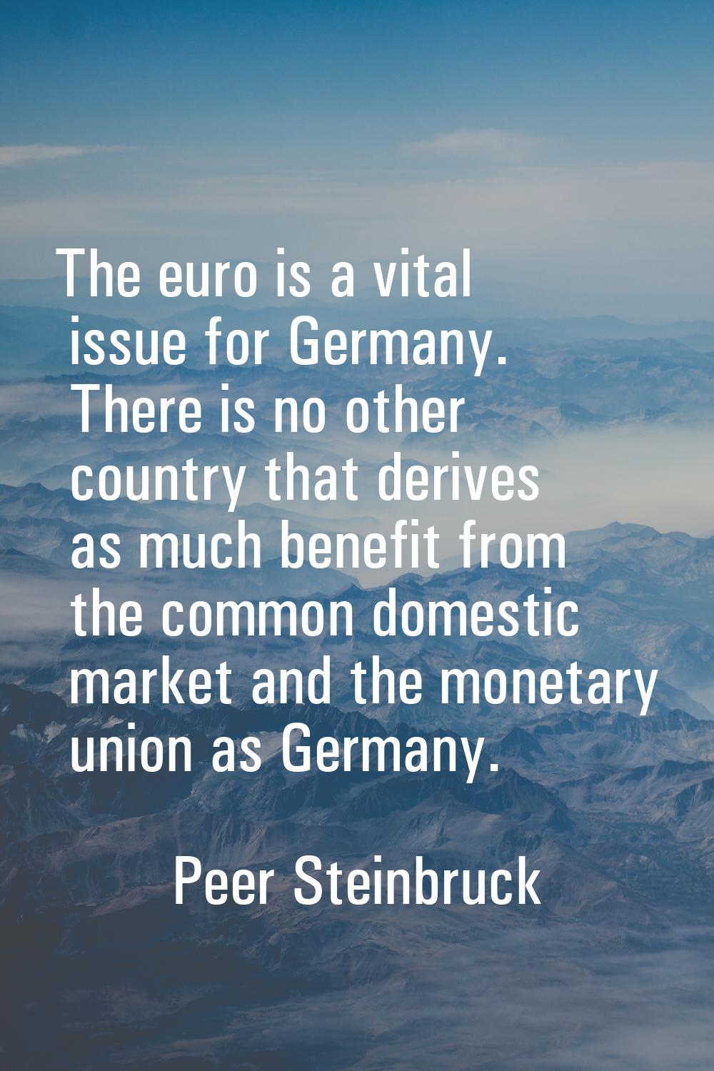 The euro is a vital issue for Germany. There is no other country that derives as much benefit from 