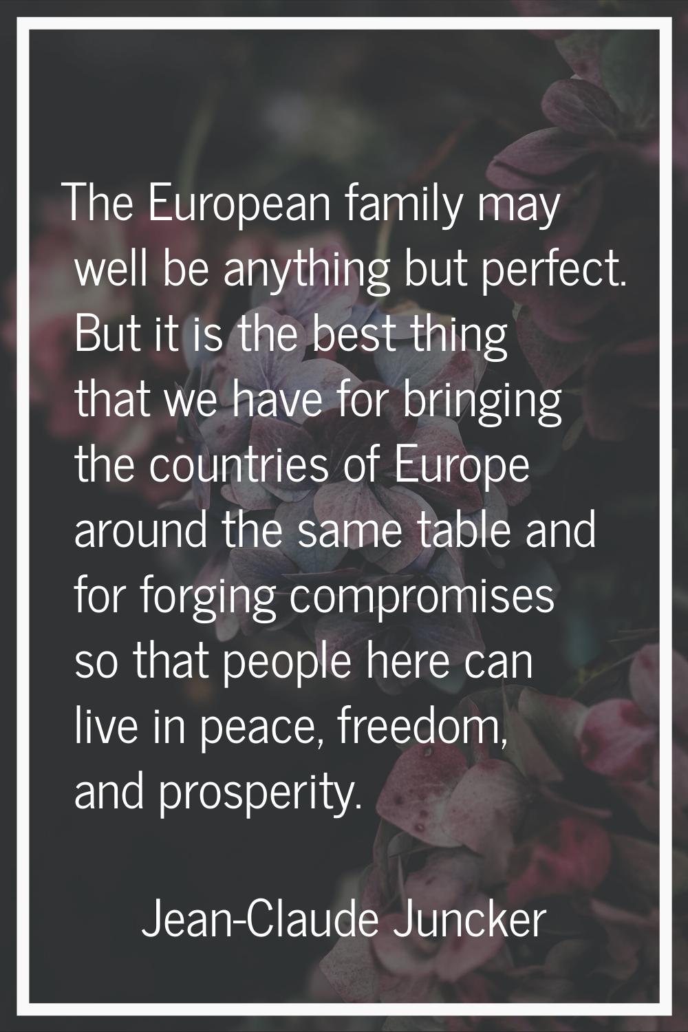 The European family may well be anything but perfect. But it is the best thing that we have for bri