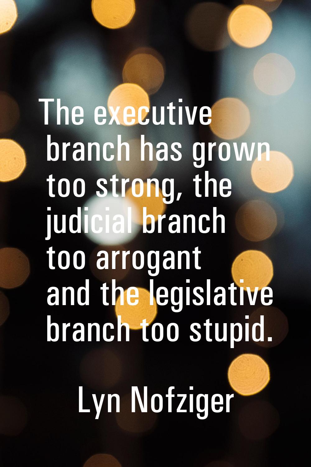 The executive branch has grown too strong, the judicial branch too arrogant and the legislative bra
