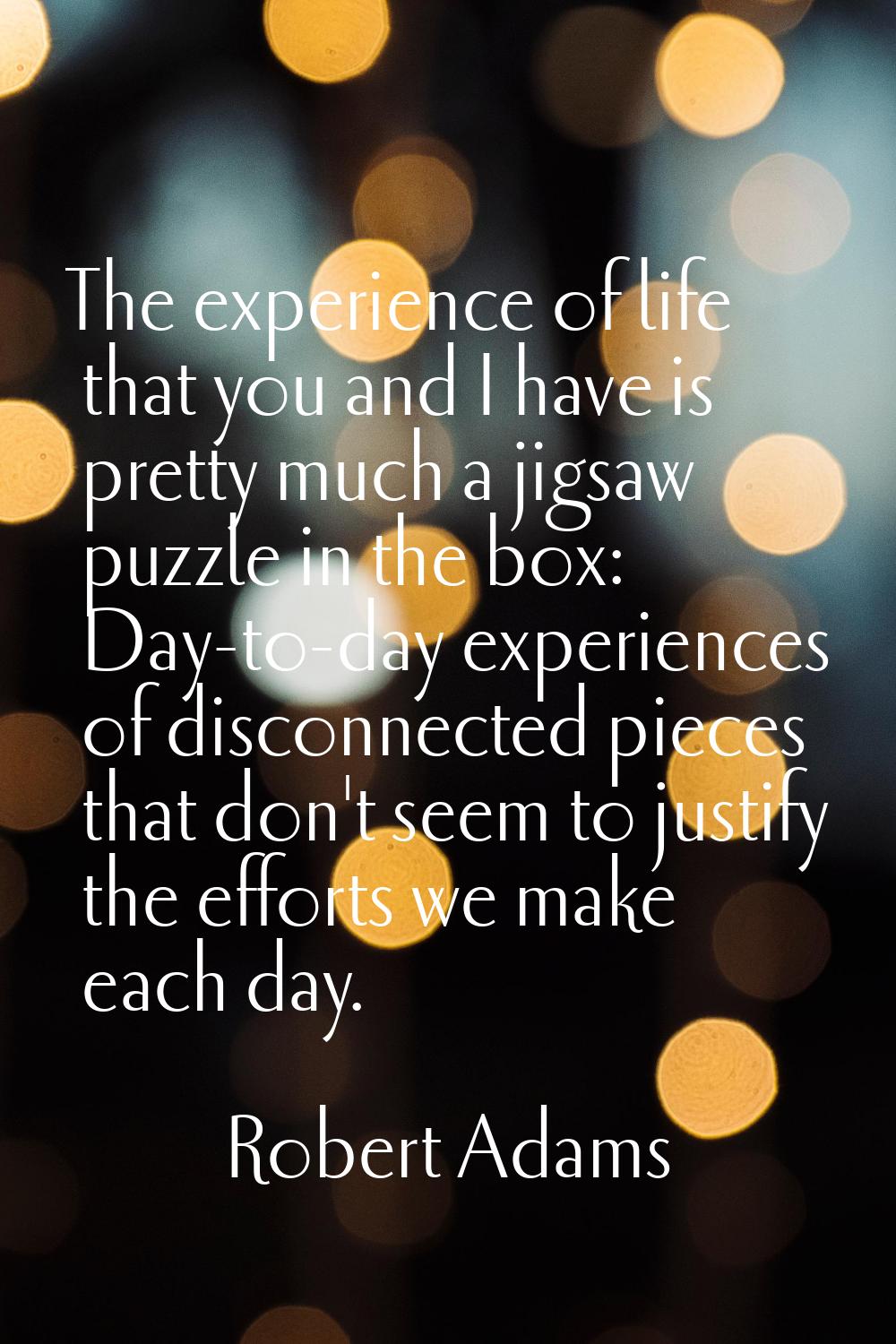 The experience of life that you and I have is pretty much a jigsaw puzzle in the box: Day-to-day ex