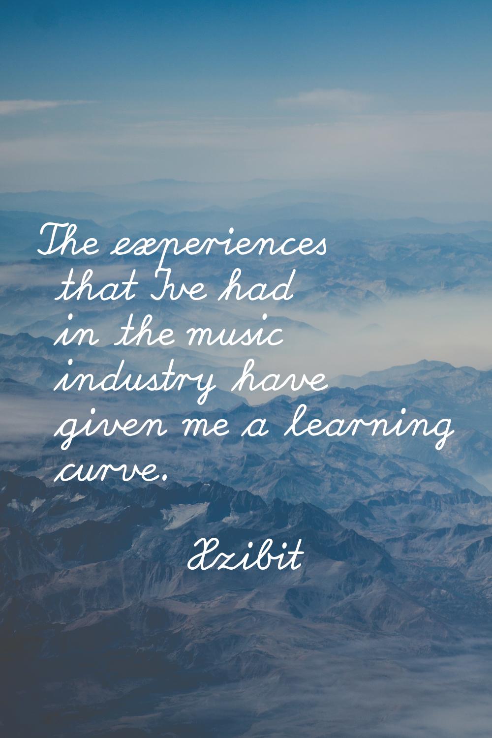The experiences that I've had in the music industry have given me a learning curve.