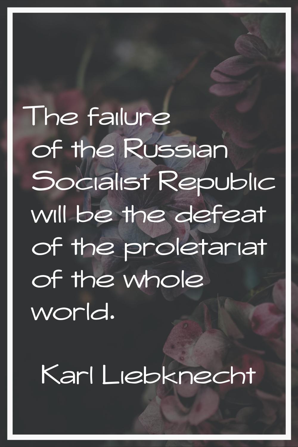 The failure of the Russian Socialist Republic will be the defeat of the proletariat of the whole wo