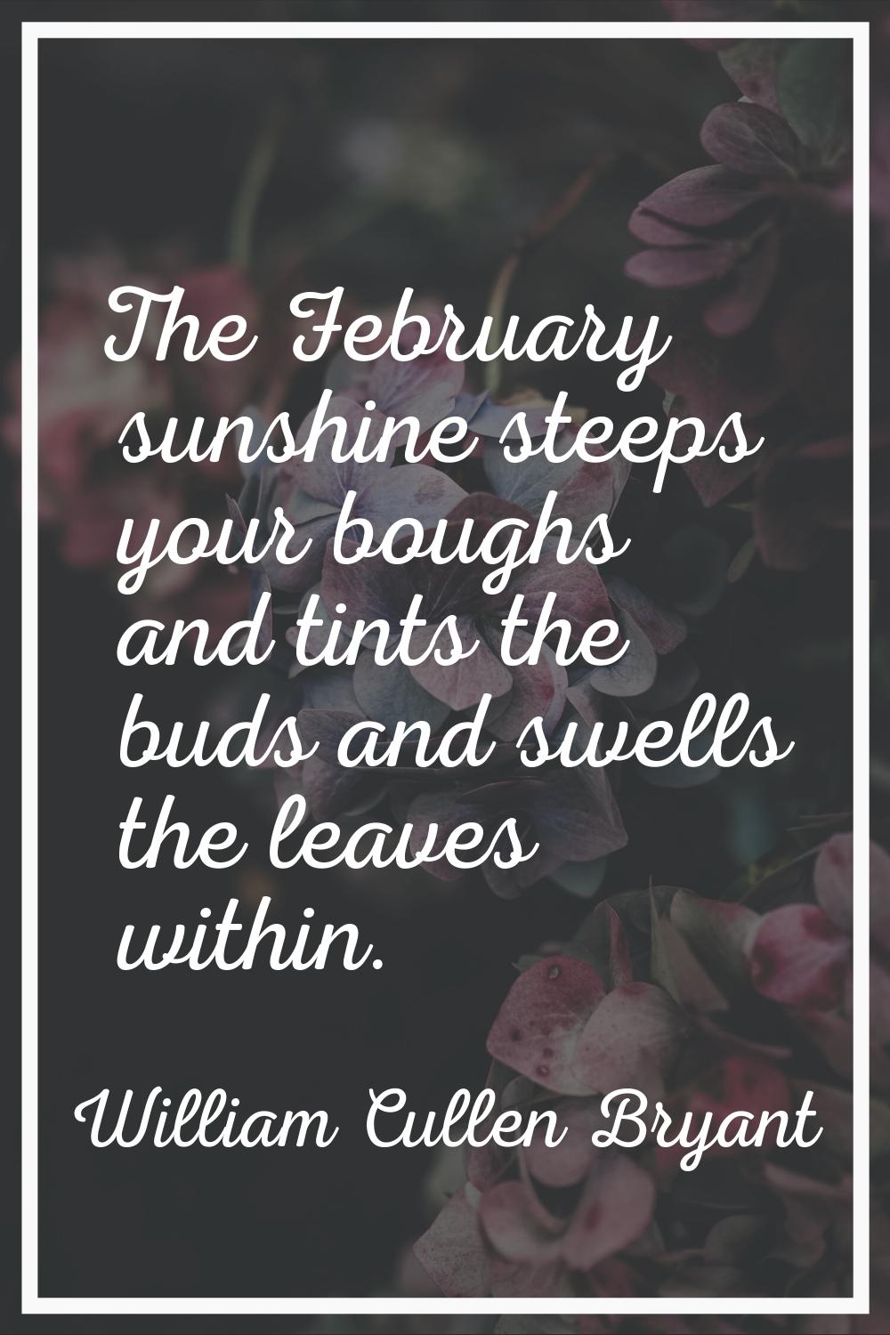 The February sunshine steeps your boughs and tints the buds and swells the leaves within.